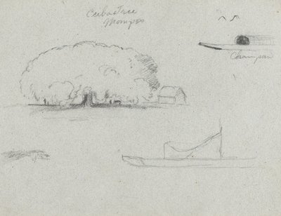 Ceiba Tree at Mompos, Champan Canoe, Trees, and a Partial Boat, Rio Magdalena, Colombia by Frederic Edwin Church